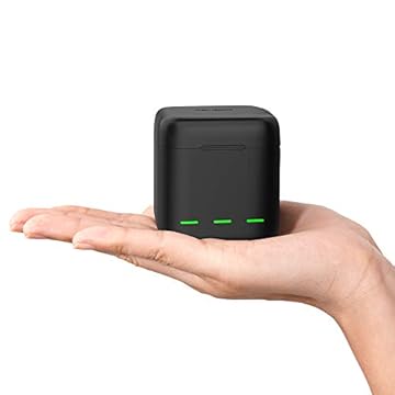 TELESIN Carregador de bateria para GoPro Hero 13 preto, estojo de carregamento USB com compartimento triplo com cabo tipo C, estojo de transporte totalmente compatível com acessórios originais Go Pro