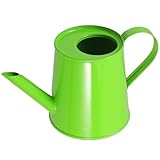 Arrosoir vintage : il peut être placé dans de nombreux endroits à des fins décoratives, comme un bureau, un hôtel, un salon de thé, etc. mini arrosoir en métal