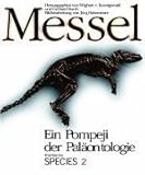 Messel, Ein Pompeji der Paläontologie - Herausgeber: Wighart von Koenigswald, Gerhard Storch Bearbeitung: Jörg Habersetzer 