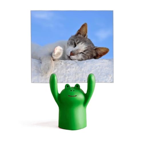 Pince-note grenouille chat adorable : l'idée cadeau parfaite pour les collègues