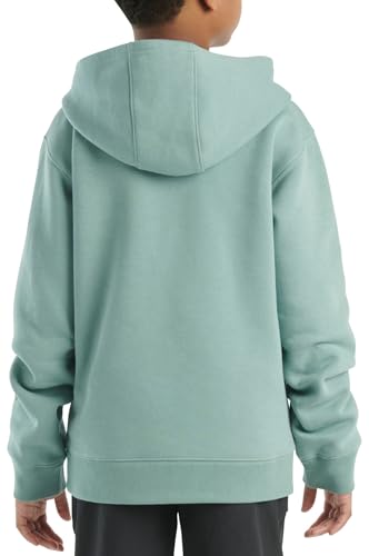 Carhartt Kid's CA6581T Long-Sleeve Graphic Sweatshirt, Patina - Youth Unisex Medium (10)3