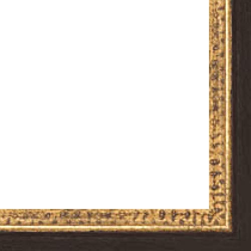 Picture Frame Fillet (Wood) 18Ft Bundle - Traditional Gold Finish #TOP1