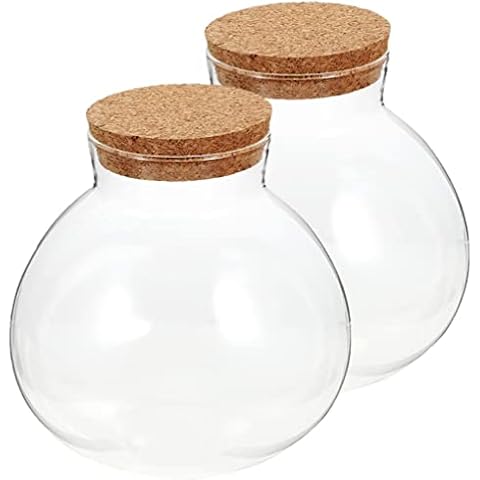 GANAZONO 2pcs Glass Terrarium Container Round Succulent Planter Jars Terrarium House with Cork Stopper Moss Ball Bowl Micro Landscape Vase for Office Home Garden 15x16cm Cover