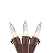 Northlight Set of 35 Clear Mini Christmas Lights 2.5” Spacing - Brown Wire