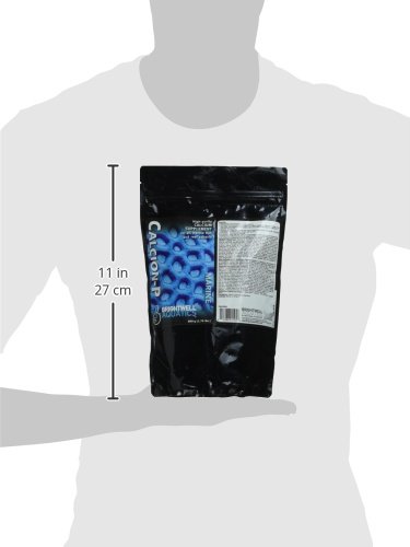 Brightwell Aquatics ABACALP800 Calcion Dry Salt Water Conditioners for Aquarium, 1.7-Pound, 800-g (162023)