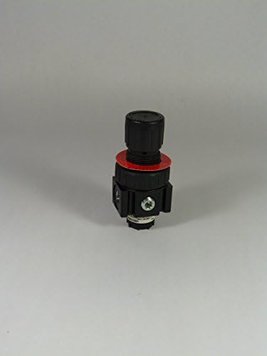 SCHRADER BELLOWS 05R113AD 1/4" Regulator