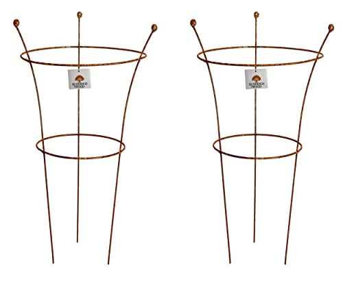 Image of Pack of 2 x Small 45cm h x 30cm dia Metal Garden Peony Plants Support Rings - Natural Rust - Decorative Herbaceous 2 Ring Support Cages Rusted Design