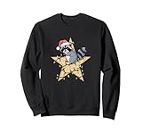 Christmas Cute Funny Racoon Star Lights Space Xmas