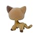 Flocked Custom Pet Shop Toy Fuzzy Animal Figure Short Hair Cat Kitty Kitten OOAK Compatible with Old LPS (CAT 886)