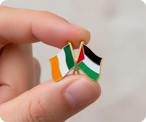 Panda Loco Ireland & Palestine Friendship National Enamel Flag Pin Badge Lapel