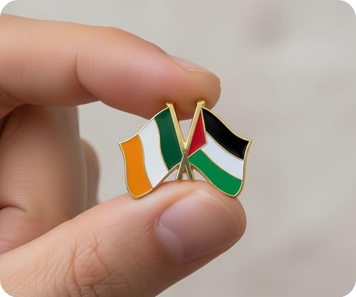 Panda Loco Ireland & Palestine Friendship National Enamel Flag Pin Badge Lapel