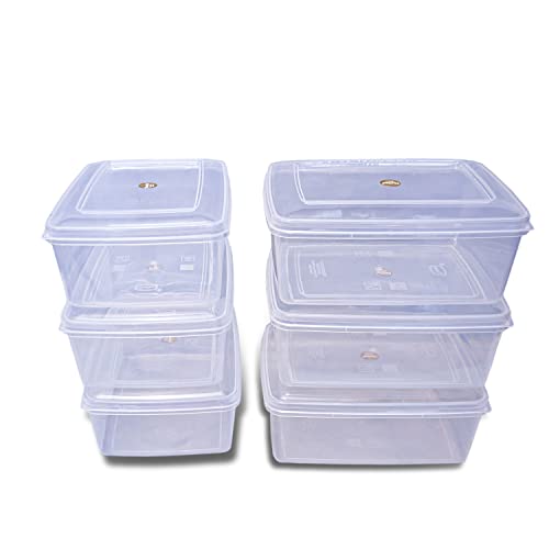 Image of Sthavir Premium Rectangle Plastic Storage Boxes, Transparent Containers, Medium Boxes for Jewellery /Medicines /Stationery /Cosmetics / Accessories (LXBXH- 22 x 17 x 9 cm) (Pack of 6) (Size No. - 5)