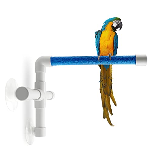 Bird Stands For Macaws 2023 Vet Ranch We Love Pets