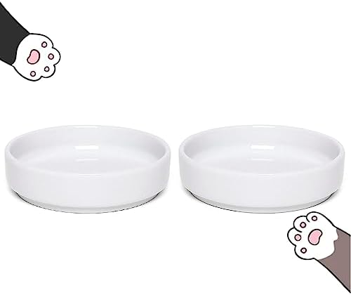 Prato Para Gatos de Porcelana Comedouro Raso 200ml 2 Unidades