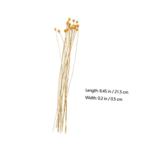 Ipetboom 20 piezas difusor aroma varillas rattan natural miniatura 2