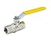 Parker Hannifin BVG4-1/2L BVGL Series Brass Ball Valve with Lever Handle, 1/2" Female BSPP Thread x 1/2" Female BSPP Thread