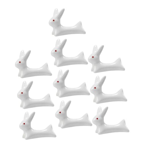 ZUNOXAZ 10 J[gD[ fUC pZ~bNMu 퐻MX^h @\CNuVz_[ fXNp