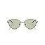 Brushed Light Grey Green/Light Green