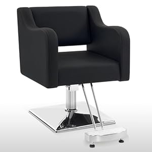 BarberPub Classic Salon Chair for Hair Stylist,Hydraulic Barber Styling Chair,Beauty Salon Spa Equipment 3802 (Black)