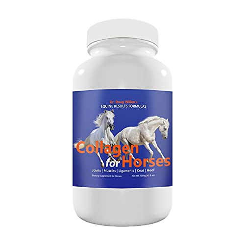 10 Best The Amino Acid For Horses Top 10 Picks By An Expert of 2022