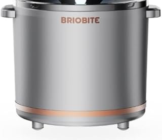 BRIOBITE Dolce1000 Ice Cream Maker Freeze Bowl Silver