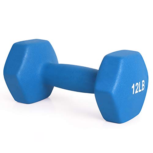 Lionscool Neoprene Coated Dumbbell Weights (Blue 12Lb Pair) #TOP7