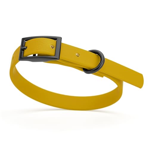 Image of Dogline Biothane Waterproof Dog Collar Strong Coated Nylon Webbing with Black Hardware Odor- Proof for Easy Care Easy to Clean High Performance Fits Small Medium or Large Dogs, Treasure Gold