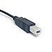 cablecc Dual USB 2.0 Male to Standard B Male Y Cable 80cm for Printer & Scanner & External Hard Disk Drive