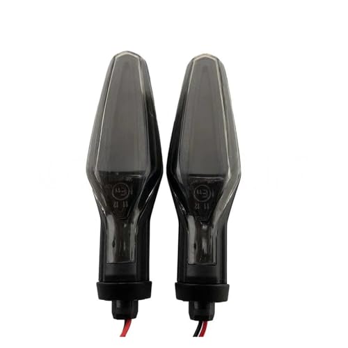 Clignotant LED Moto idéal pour les voyages en R1250 GS Adventure et sorties F900 XR