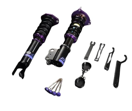 D2 Racing RS 36-Way C5/C6