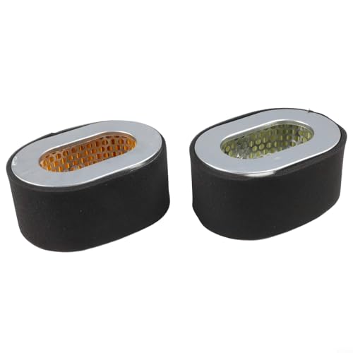 Filtro de aire compatible con motores diésel 406/418/420, L90, L100, 186F, 188F serie adecuado para su uso en bombas serie WPD4 1200 25 y grupos electrógenos GD4 1(A) 6000 (2 piezas)
