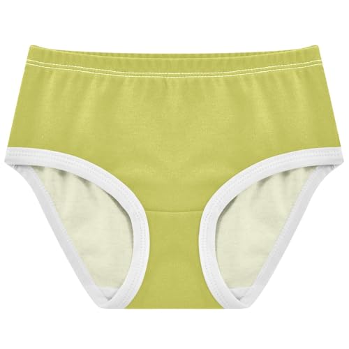 Joisal Fancy Toddler Underwear Floral 2t Cotton Cute Panties Girl Mustard Green Kids Briefs Undies