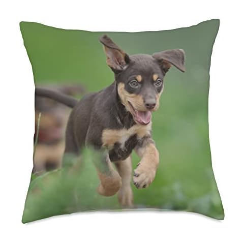 CJ Merch Australian Kelpie Puppy Dog Lover Throw Pillow, 18x18, Multicolor Cover