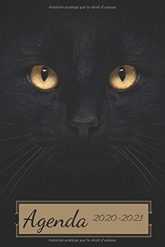 Télécharger Agenda Scolaire 2020-2021: Agenda Chat 2020-2021 | Septembre 2020 à Août 2021 | Format Pratique 6x livre En ligne
