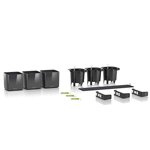 Kit de Pared Cube LECHUZA para Mantener Plantas Vivas Sin Regar a Diario 3