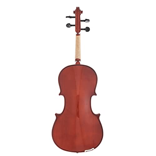 Apollo 14-Inch Solidwood Viola With Ebony Fittings, Complete With Case And D'addario Prelude Strings #TOP2