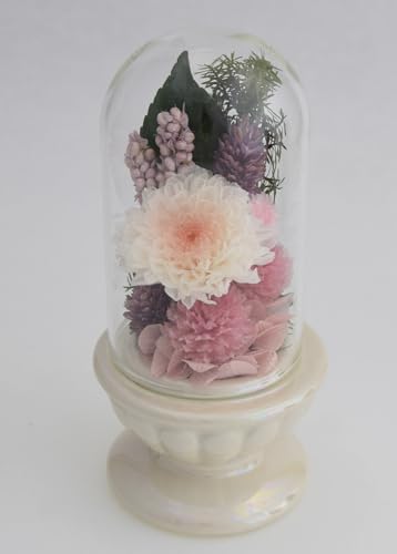  vU[uht[ KXh[Ԋ ~jTCY 12.5cm e g  zCgsN d ΐ ʍ