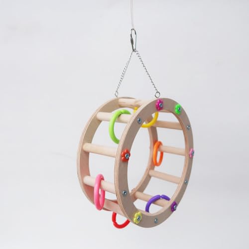 Image of Leheybia 1 Pcs Parrot Bird Toy Parrot Ferris Wheel Bird Toy Rotating Perch Toy Bird Swing Bird Swing Toys for Birds Perches