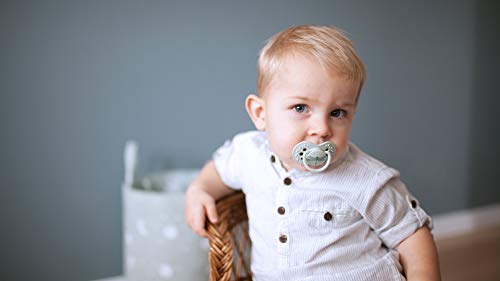 Redify 2X Baby Silicone Soother 18+ Months | Pack Of 2 | Hygenic Cover | Dynamic Tip | Enables Free Breathing | Botanic Collection | Grey #TOP6