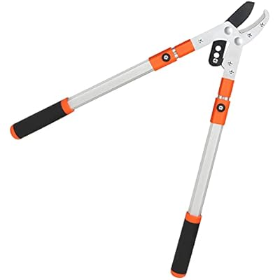 Tree branch cutter argos Clearance