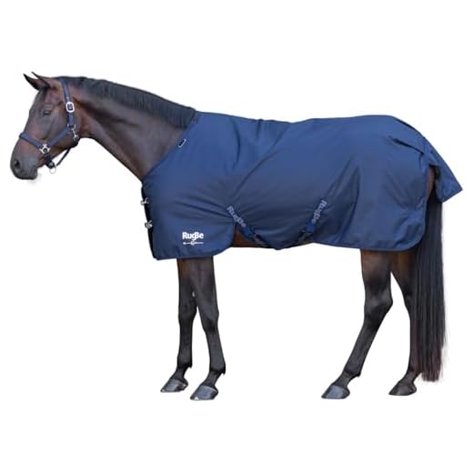 Winterdecke Pferd RugBe IceProtect | Outdoordecke mit 200g Füllung 600 DEN | Stark wasserabweisend bis 3000 mm (155)