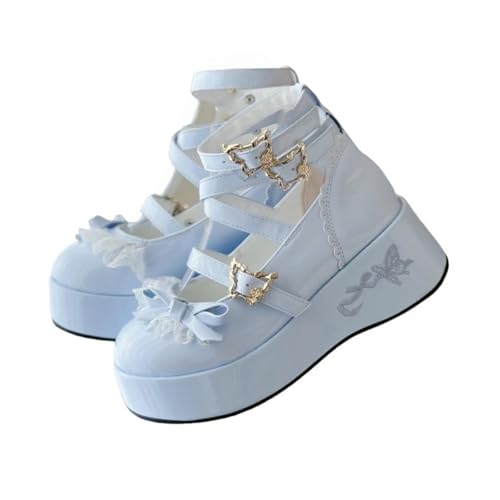 [TTYAO REII]  pvX C [^C [t@[ V[Y 傫TCY Xgbv  Ch   RXv nn SX fB[X ₷ jp 5cm (u[, l, 22.0 cm, l, 