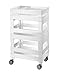 Guzzini Tidy&Store Kitchen Active Design Carrello Organizzatore Basso Circle, 46 x 32 x 77.3 cm, Bianco (Re-Grey)