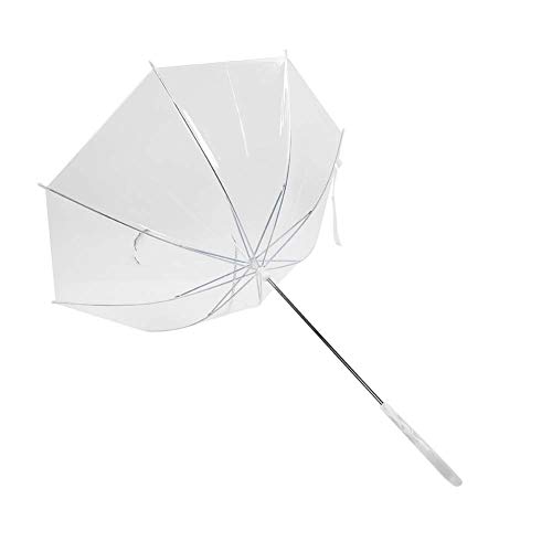 Expert Tips for Using Dog Umbrella