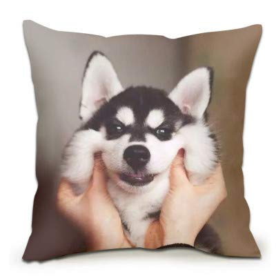Coussin Husky avec expressions faciales ajustées pour le soutien des garçons et adultes