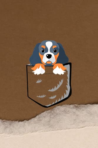 Blush Notes: Cavalier King Charles Spaniel In The Pocket