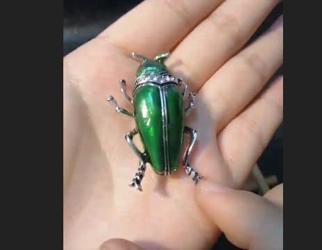 Amazon.co.jp: 同梱Ok送安玉虫タマムシ黄金虫コガネムシ昆虫ブローチ