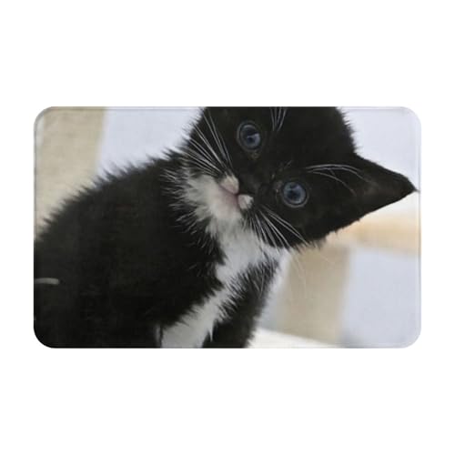 ~߁A\AzƑϋv tA}bgBOł̎gpɍœKBƒAItBXAƃXy[XɍœKB(Cat Who Me Kitten Cute Adorable Tuxedo Black White)