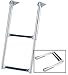 Over Platform Telescoping Ladder (Garelick)