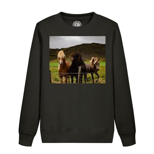 Sweat enfant chevaux gambadent pour revivre la magie des grands champs
